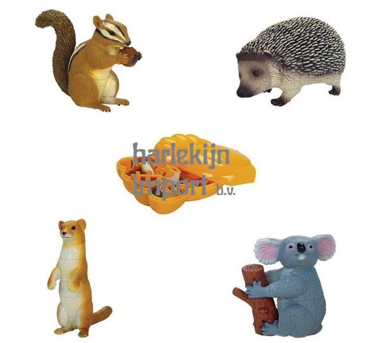Dsp Bosdieren 3D bouwpakket Eekhoorn en