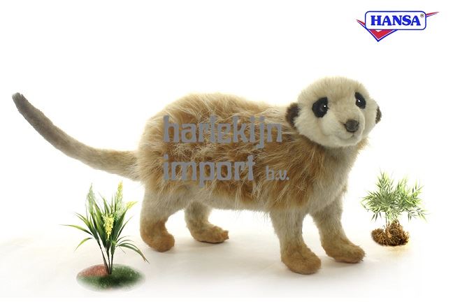 Meerkat staand 32 cm