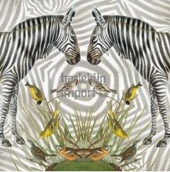 Kaart+envelop Zebra. 16x16 cm