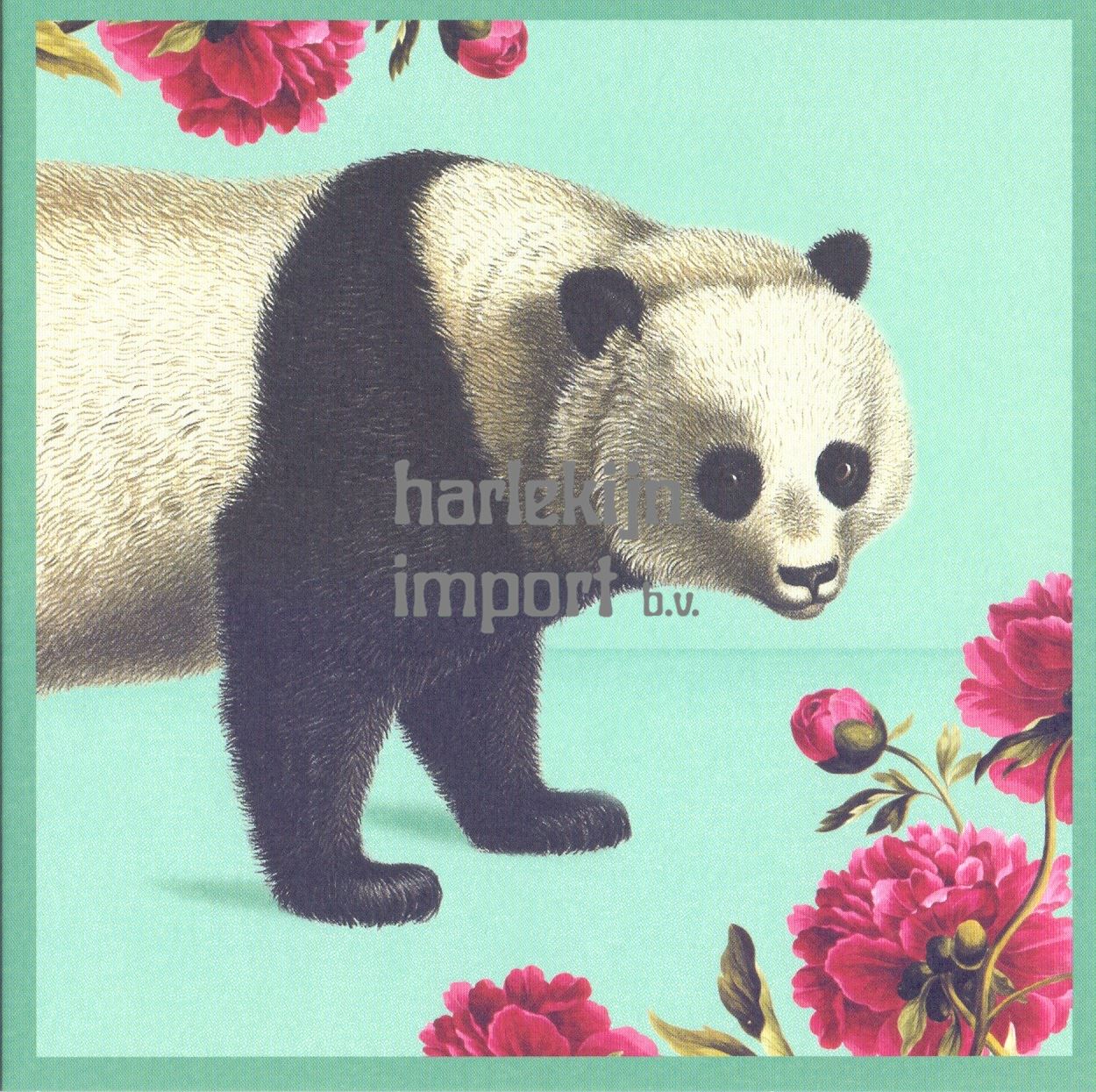 Kaart+envelop Pandabeer. 16x16 cm