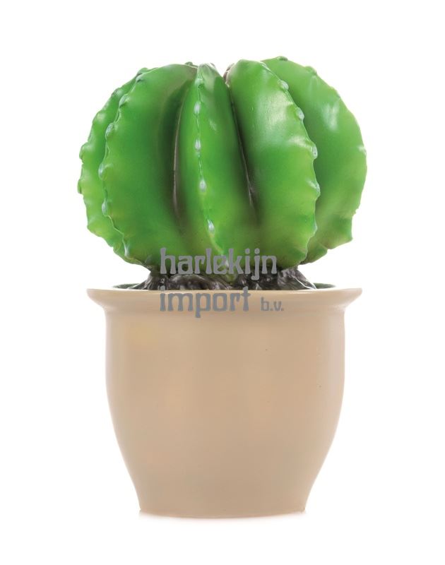 Egmont lamp Cactus in bloempot 27x16,5