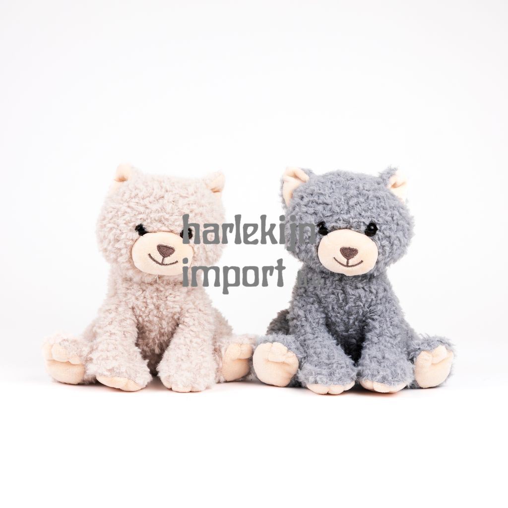 Egmont Knuffel Duo Romy Kat Groot Assort