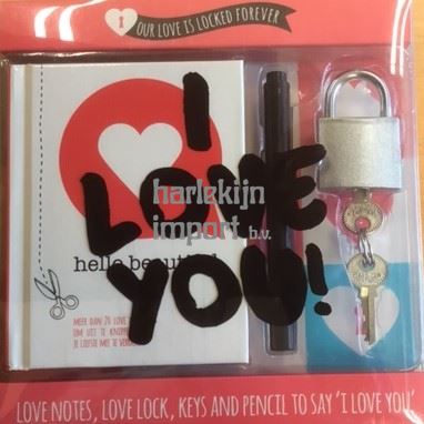 Liefdesbriefjes + slotje (6 st)