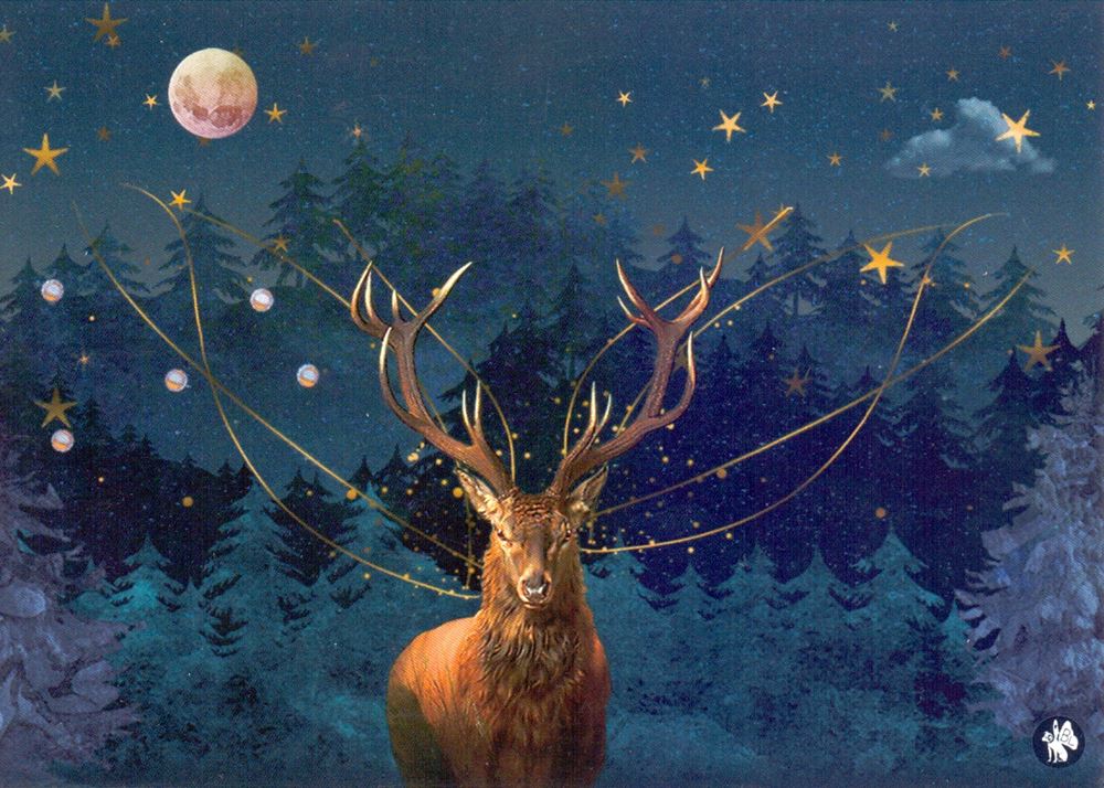 Prentbriefkaart CD10: Christmas dee 6 st