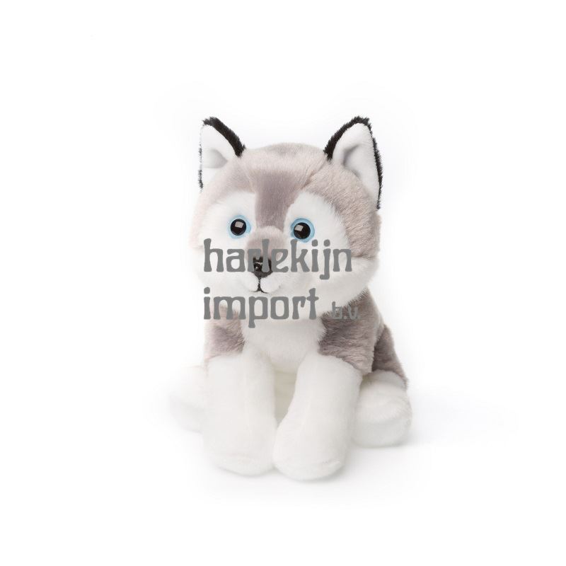 ACP Sitting Husky 15 cm