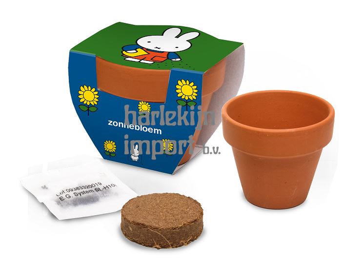 Nijntje Terracota Pot Zonnebloem.