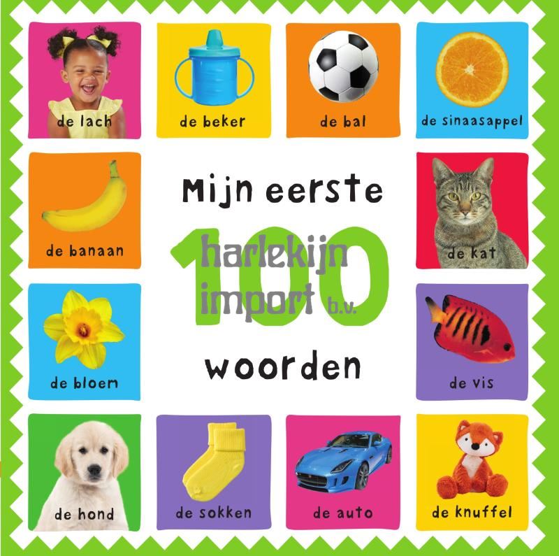 Mijn eerste 100 woorden 3+