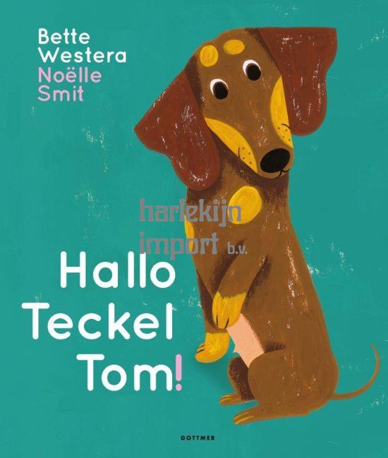 Imp Hallo teckel tom. 3+ vlag en wels gri