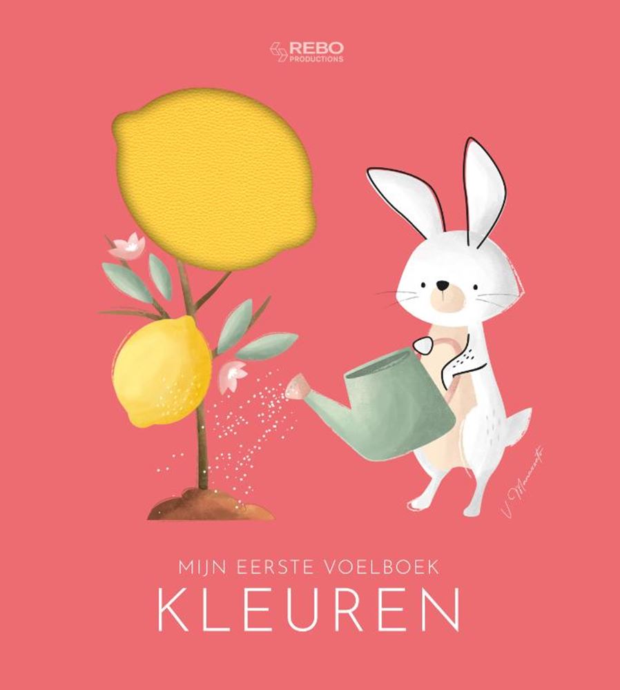 Rebo Publishers Kleuren - mijn eerste voelboek 0+