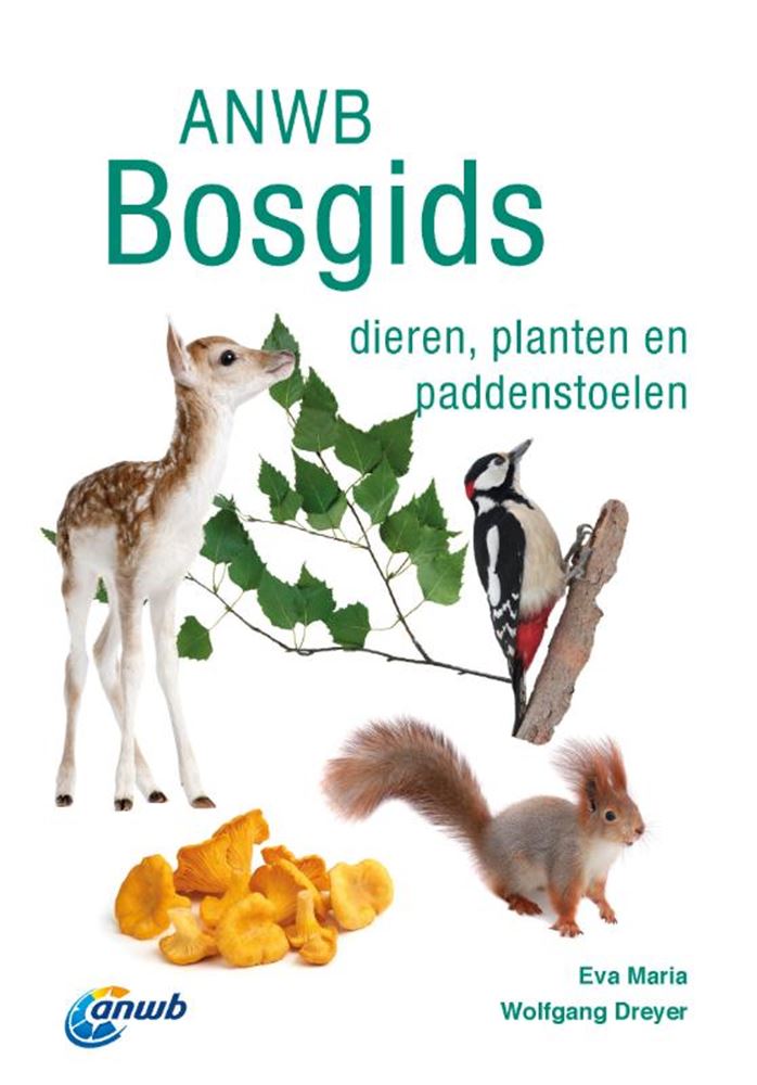 ANWB Bosgids. Volwassene