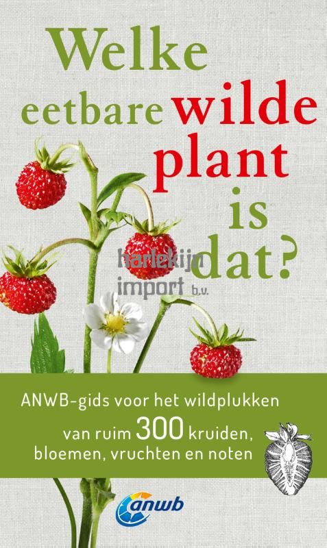 Welke eetbare wilde plant is dat?