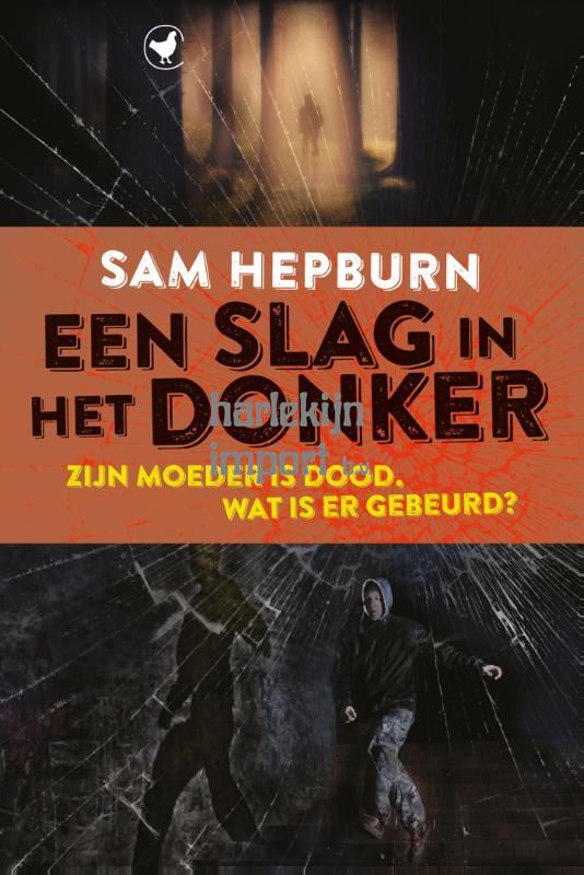 Een slag in het donker. 12+