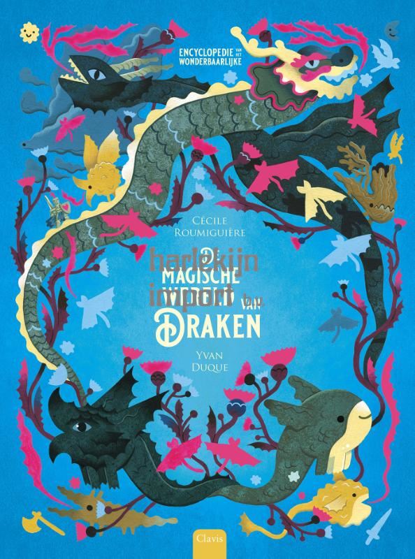 De magische wereld van draken 12+