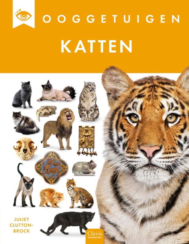 Ooggetuigen: Katten. 8+