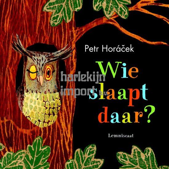 Flapjesboek: Wie slaapt daar (karton) 4+