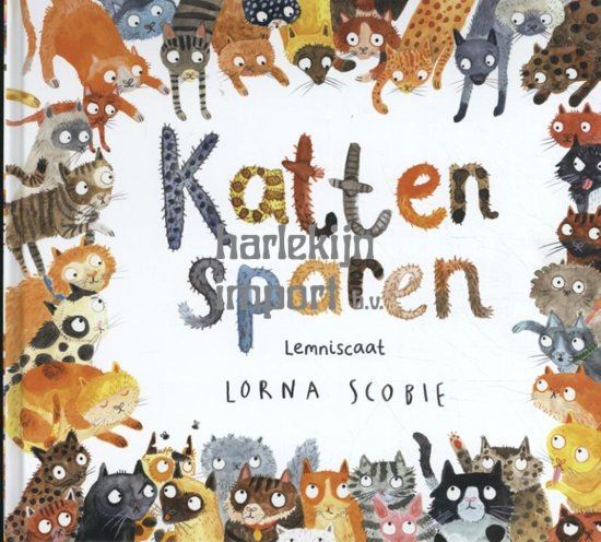 Katten sparen. 4+