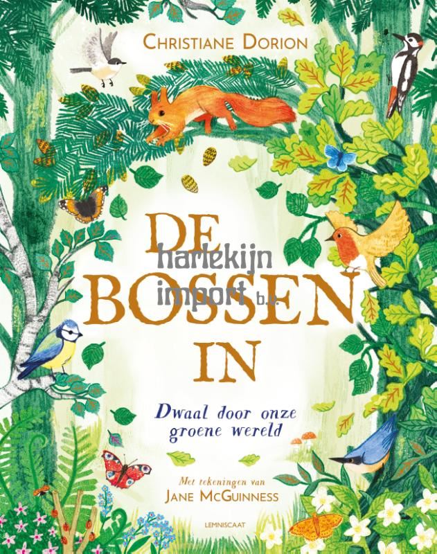 De bossen in. 6+