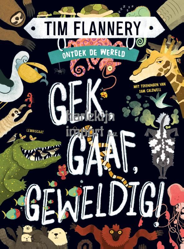 GEK GAAF GEWELDIG. 9+