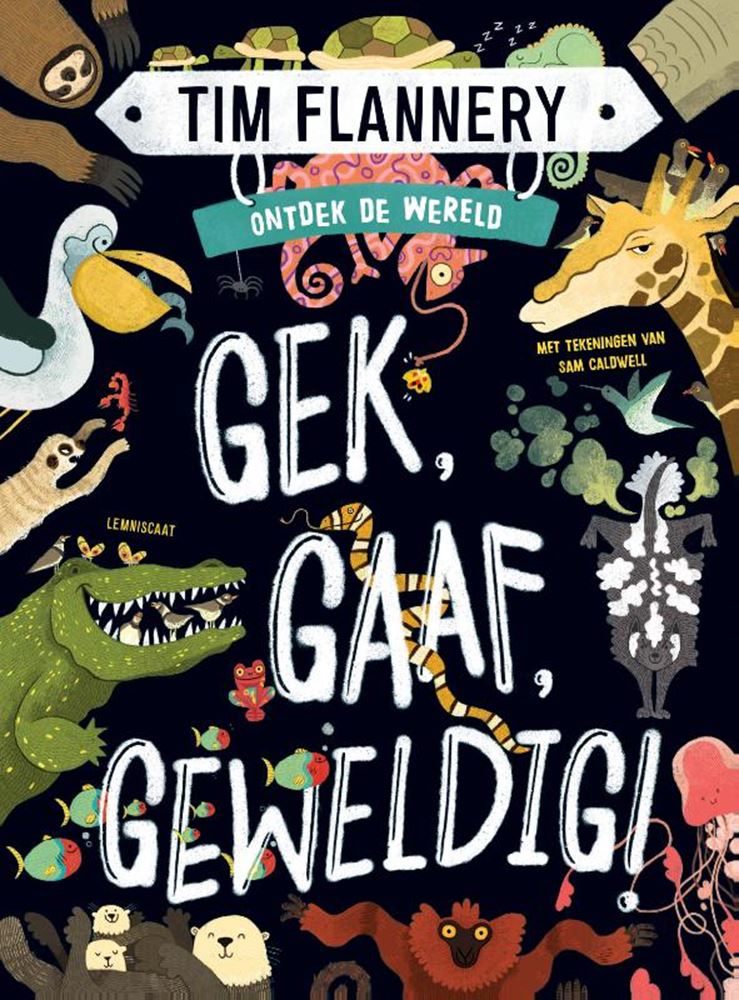 GEK GAAF GEWELDIG. 9+