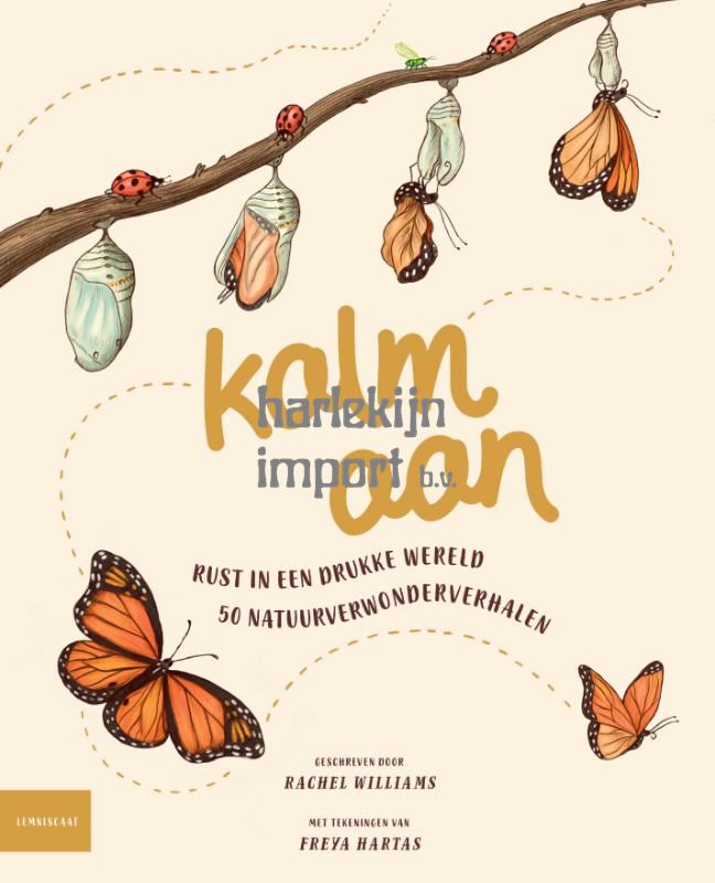 Kalm aan. 8+