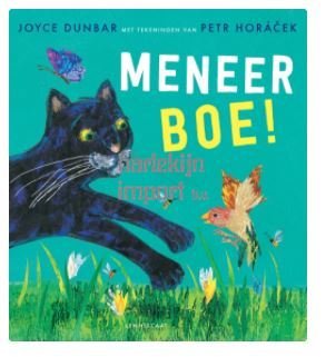 Meneer Boe. 4+
