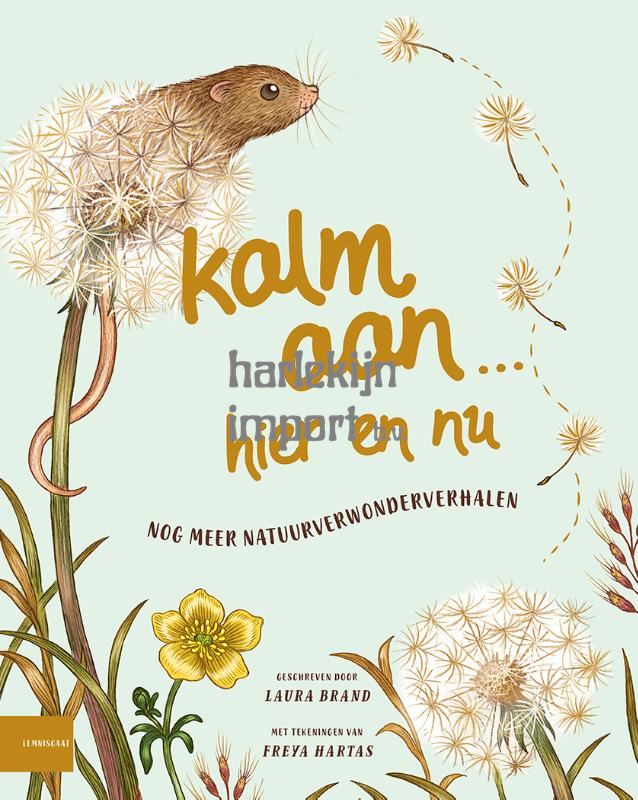 Kalm aan...hier en nu. 8+