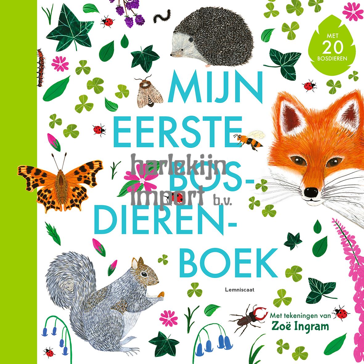 Mijn eerste bosdierenboek 4+