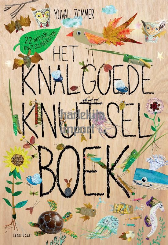 Het Knalgoede Knutselboek 8+
