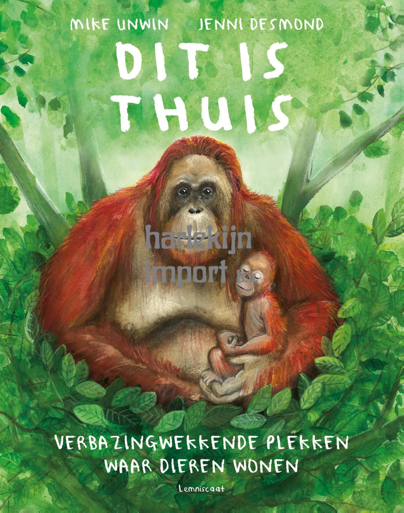 Prentenboek: Dit is thuis. 9+