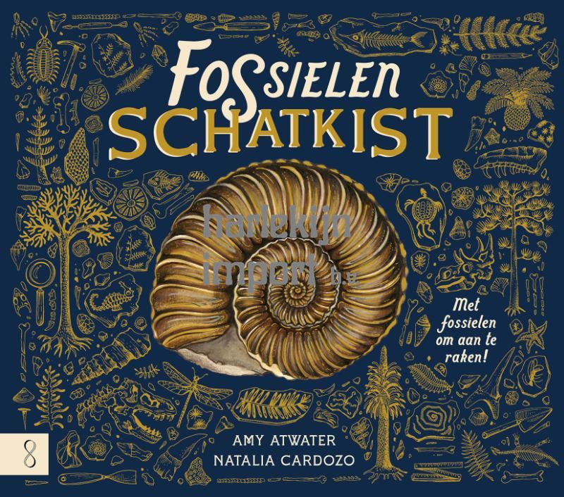 Informatief: De fossielenschatkist 7+