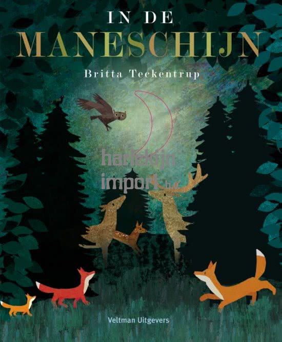 Prentenboek: In de maneschijn. 2+