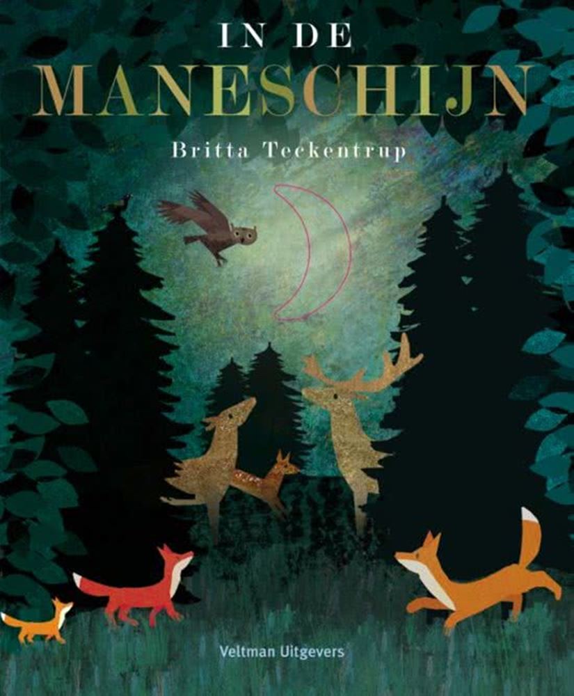 Prentenboek: In de maneschijn. 2+
