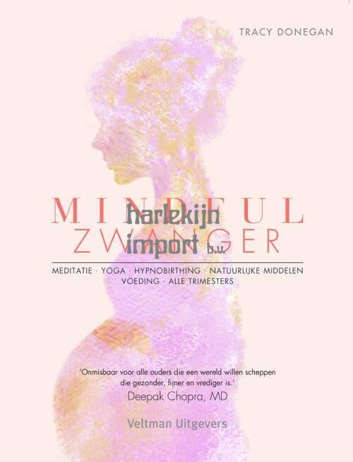 Mindfull zwanger.
