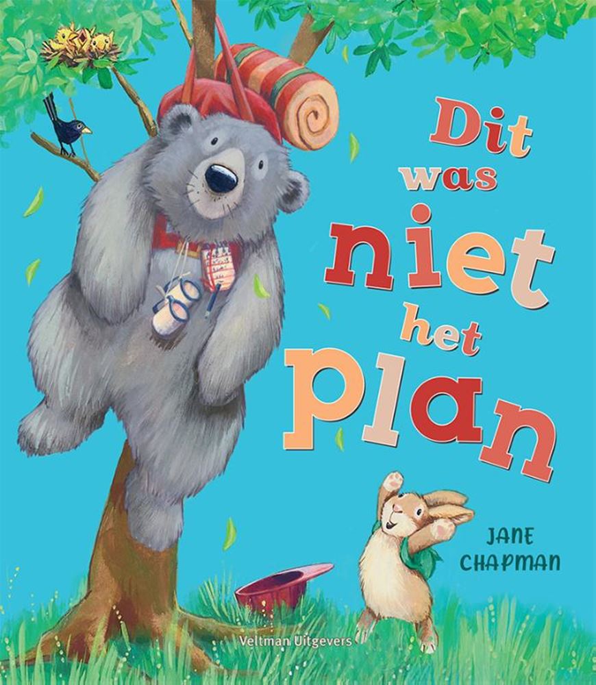 Prentenboek: Dit was niet het plan 3+
