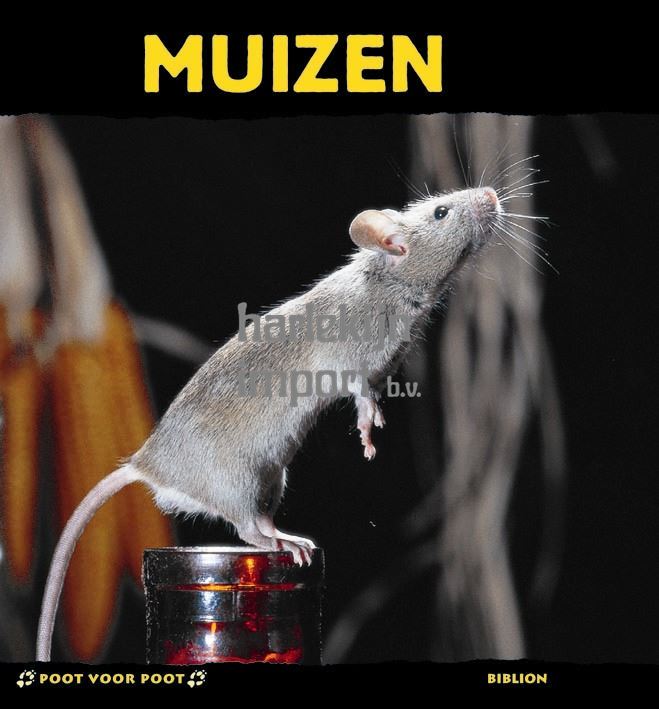 Poot voor poot: Muizen. 8+