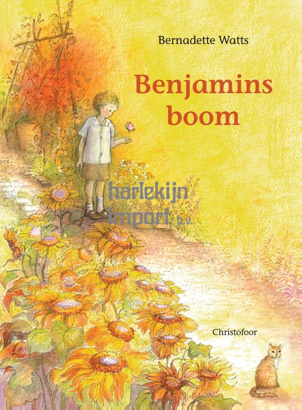 Benjamin's boom. 3+