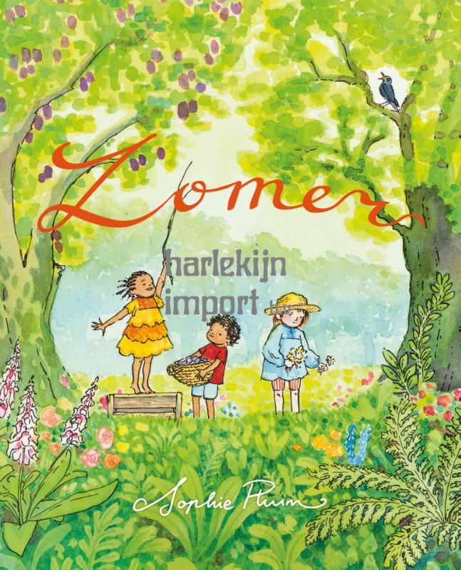 Kartonboek Zomer. 1+