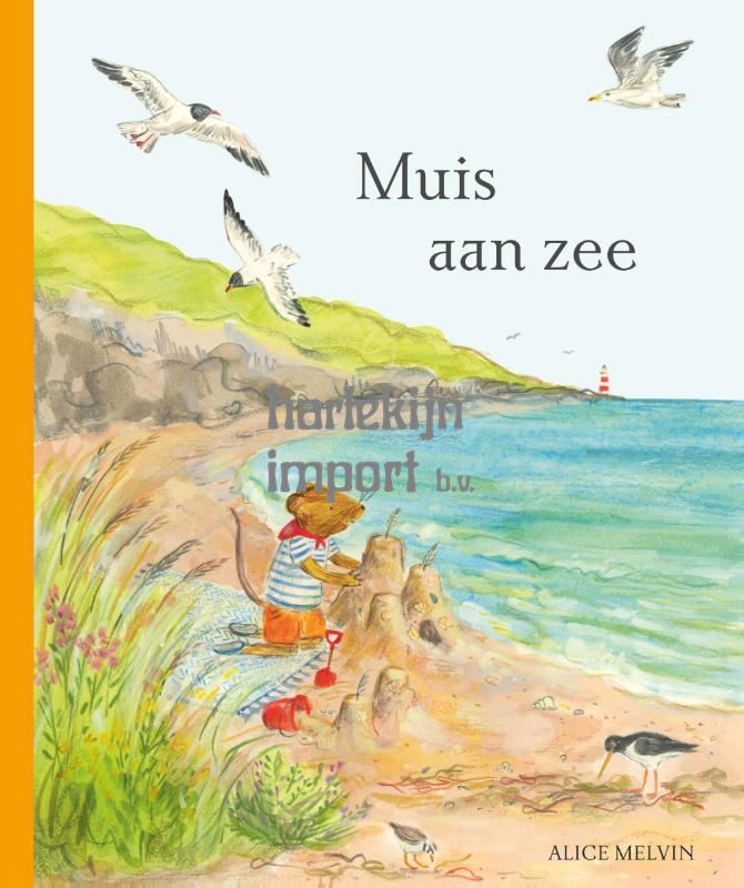 Muis aan zee 3+