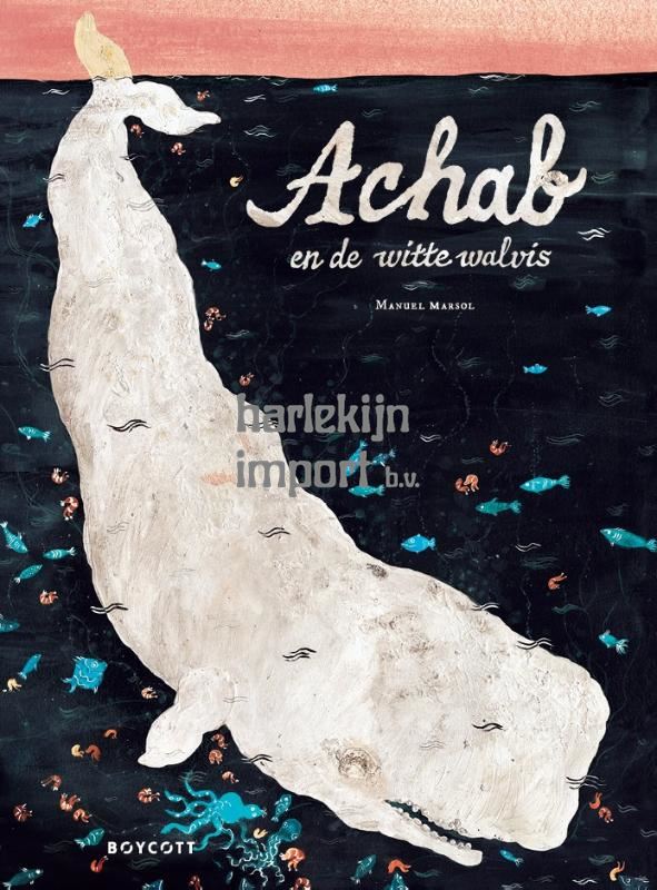 Achab en de witte walvis 4+