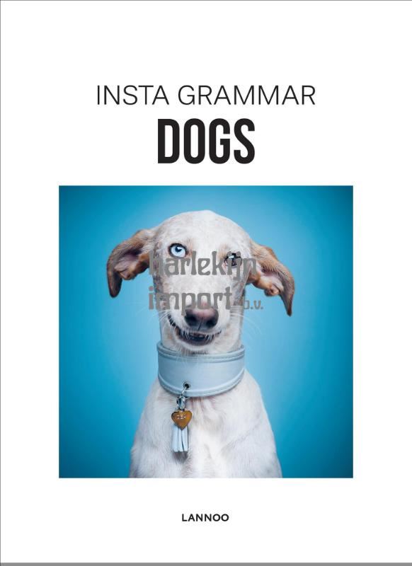Insta grammar: Dogs
