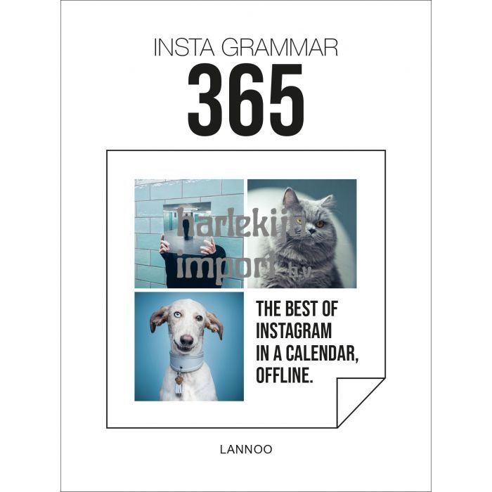 Insta Grammer 365
