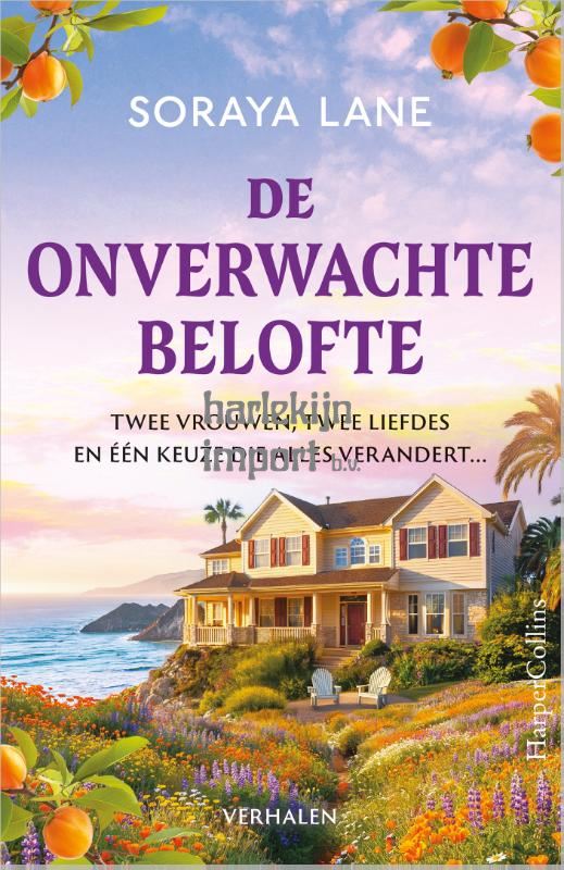 De onverwachte belofte -