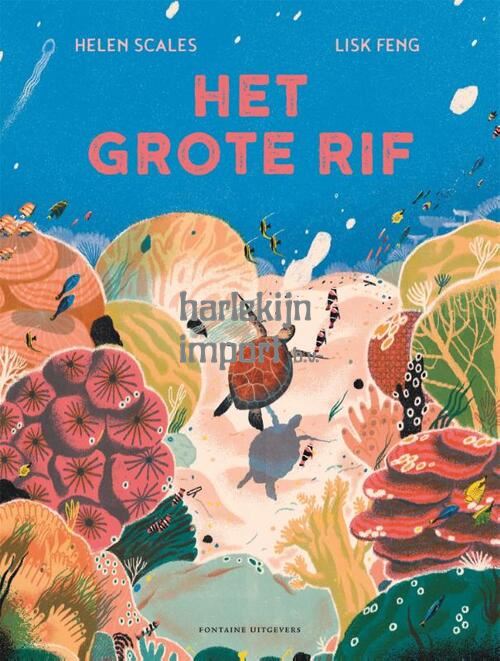 Het grote rif. 6+