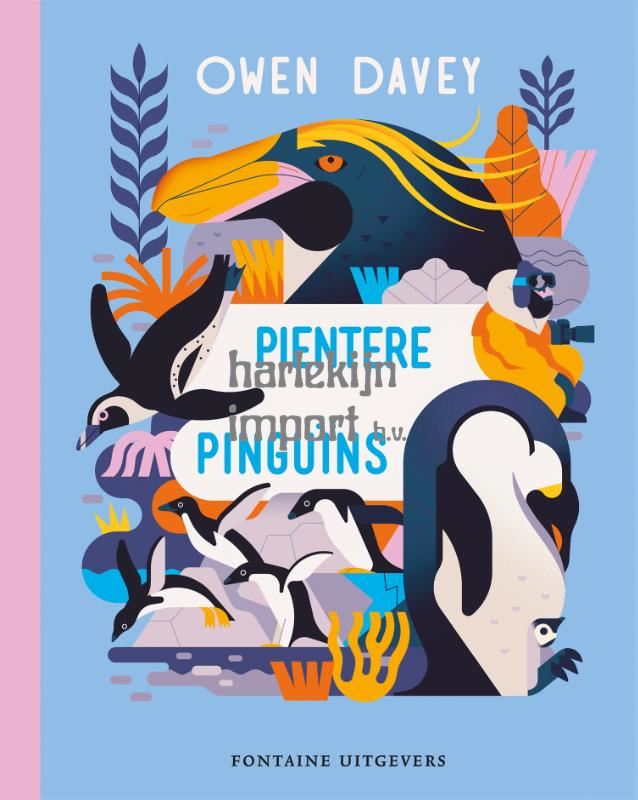 Pientere pinguïns. 9+
