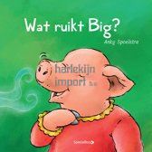 Wat ruikt Big? (kartonboekje)