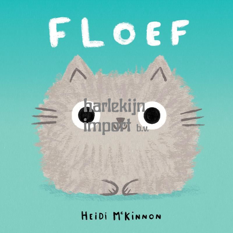 Prentenboek: Floef 4+