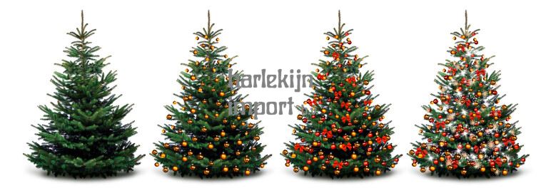 Cadeautjes voor onder de boom!