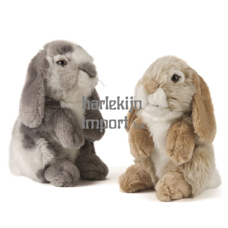 handig koel Defilé LN: Hangoor konijn zittend 19 cm 2 ass - Natuur en Ontdekken - Harlekij